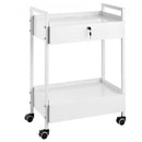 Lab Cart, 2 Tiers Stainless Steel Utility Cart, Medical Cart with 2 Drawers, Rolling Lab Cart White Paint, Serving Cart with Swivel Casters for Laboratory, Hospital, Dental, Salon and Beauty