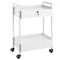 Lab Cart, 2 Tiers Stainless Steel Utility Cart, Medical Cart with 2 Drawers, Rolling Lab Cart White Paint, Serving Cart with Swivel Casters for Laboratory, Hospital, Dental, Salon and Beauty