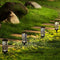 Pack of 4 Cool White Waterproof LED Garden Stake Sensor Ground Lights- Solar Powered_7