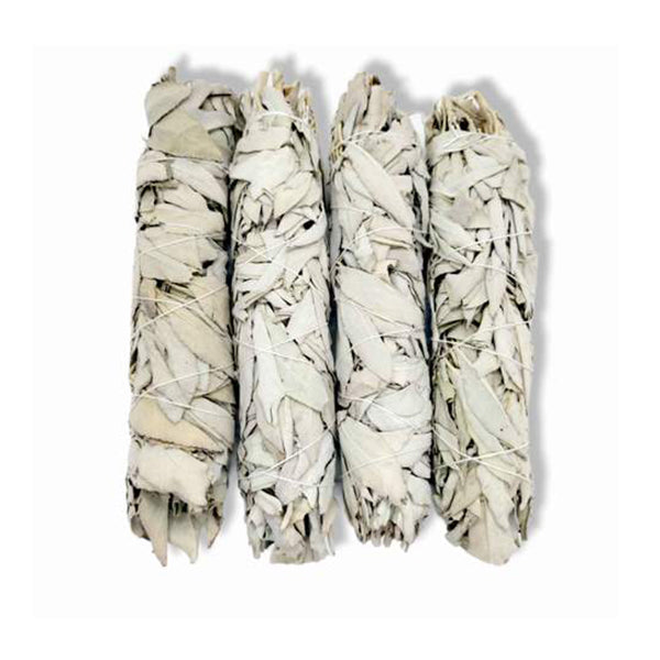 Bulk Organic White Sage Smudge Large