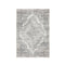 Charm Non Shedding Light Grey Rug