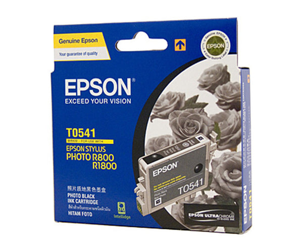 Epson T0541 Ink