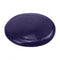 Yoga Stability Disc Home Gym Pilate Balance Trainer Purple